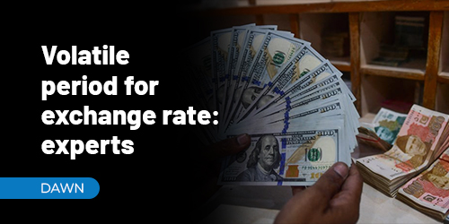 volatile period for exchange rate expert